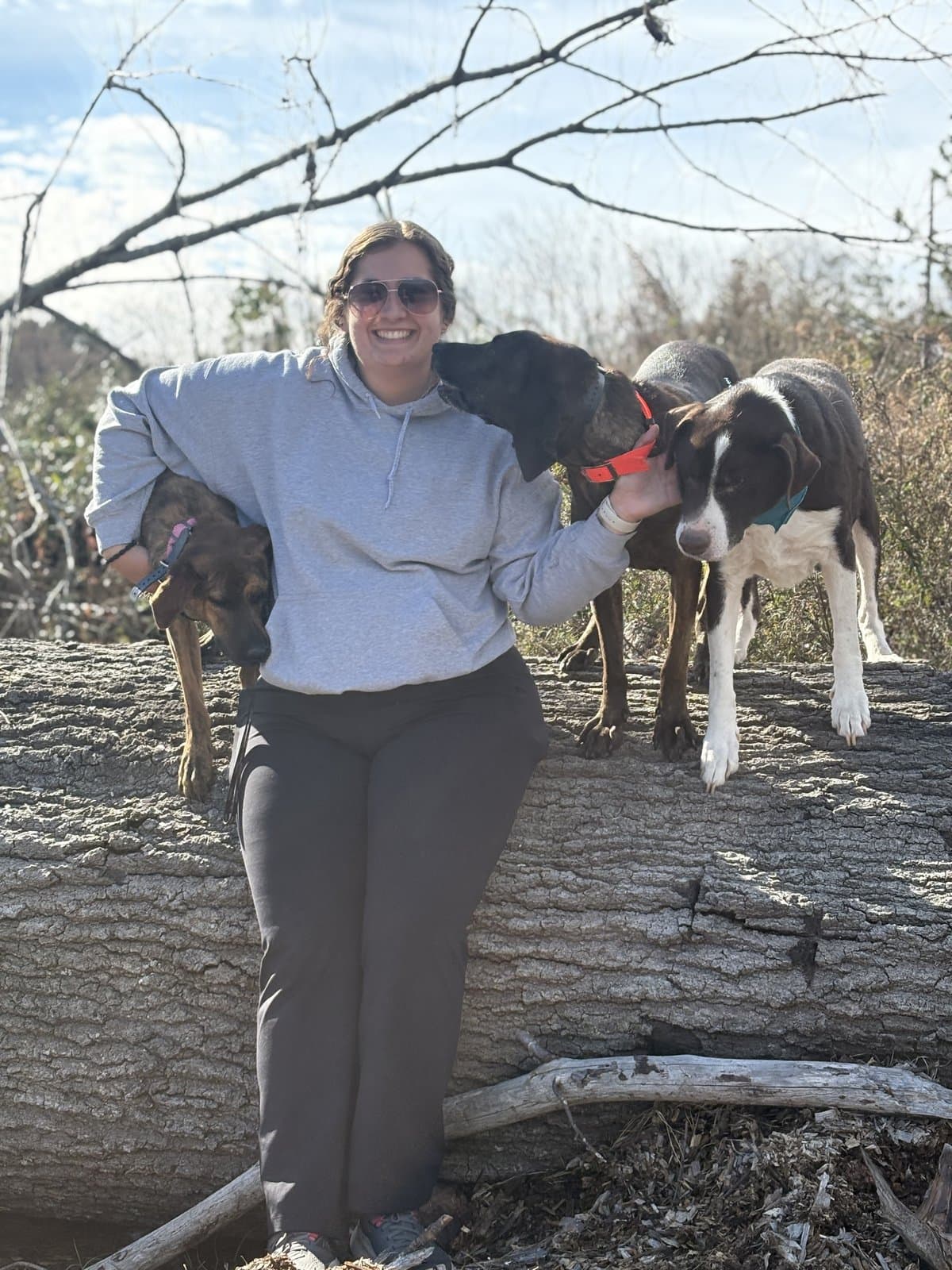 Maddie Powers with three trained dogs on a log in a natural setting